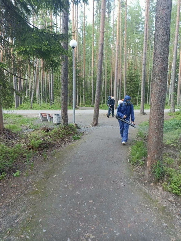    со страницы главы Петрозаводска