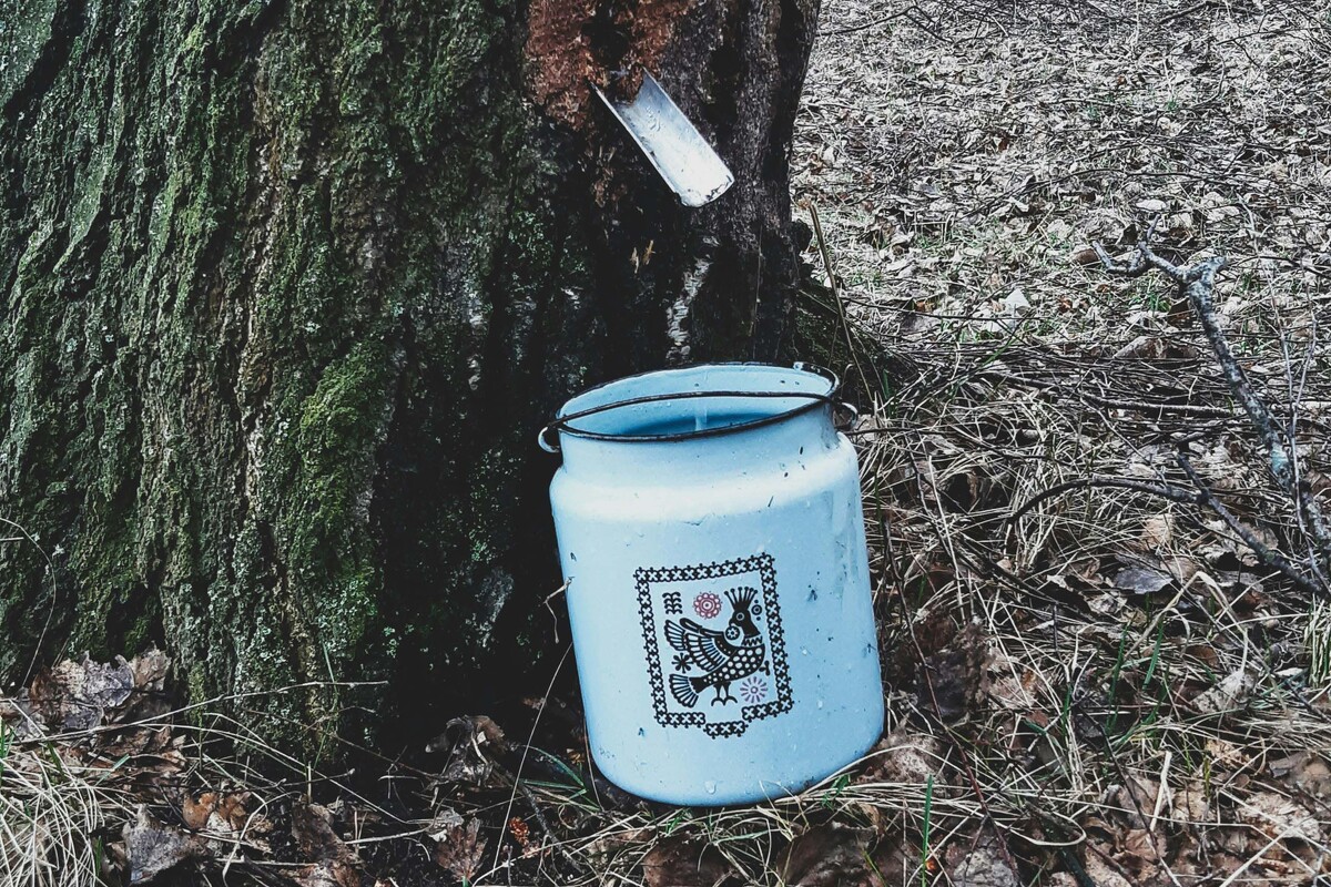  Фото: Unsplash, Vlad Hordiienko