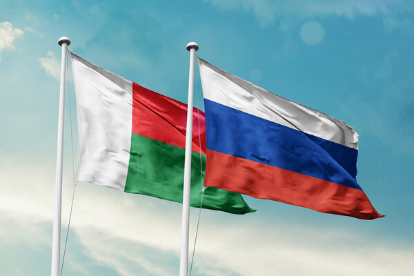 Shutterstock/FOTODOM   📷