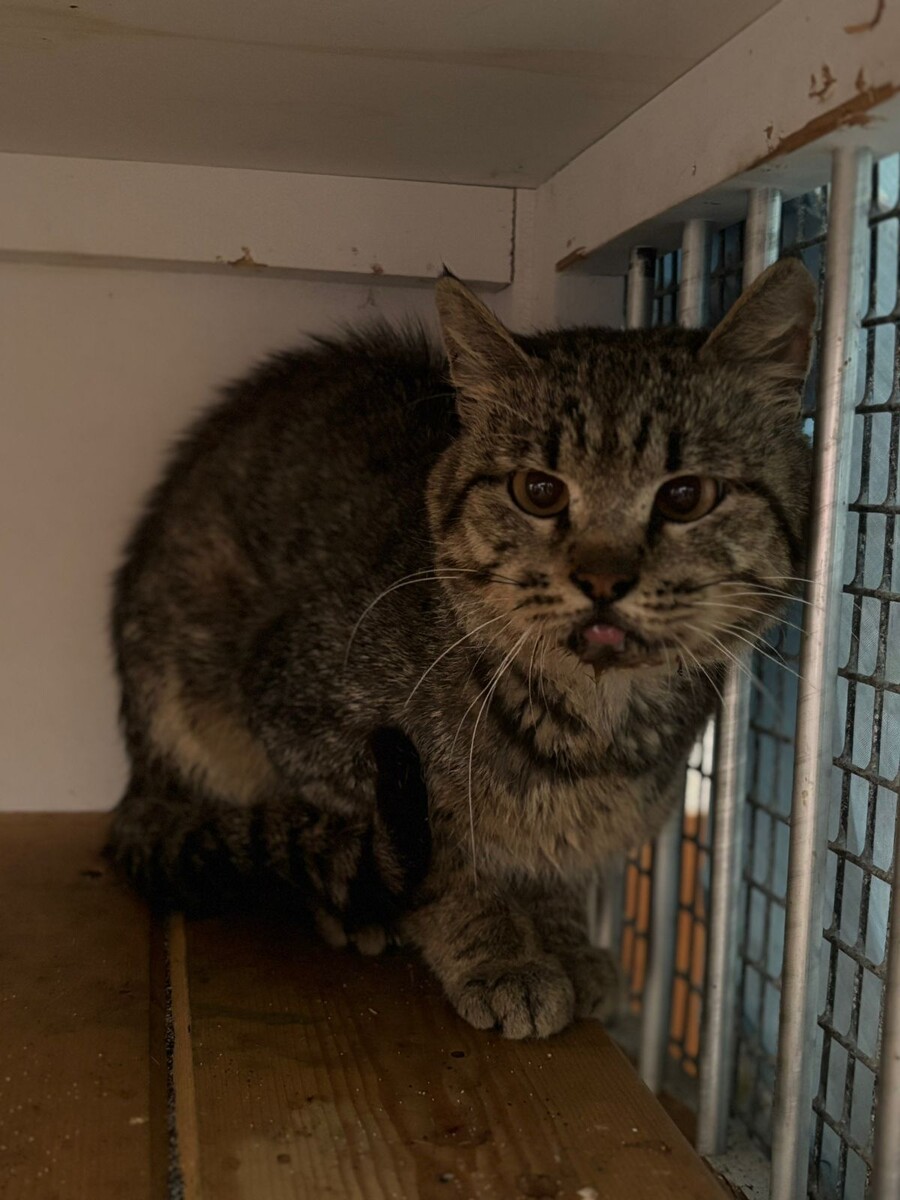 Первые фото...