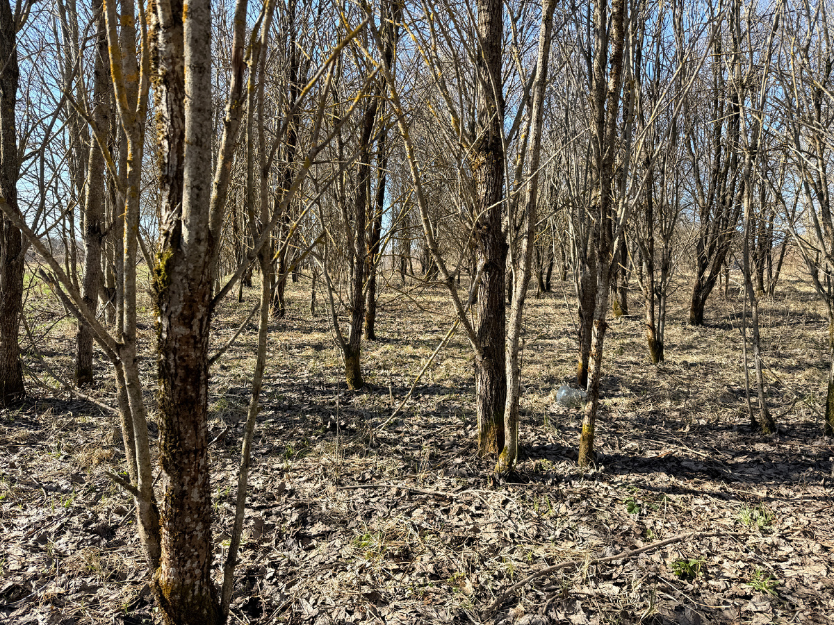 Фото автора.14.04.26