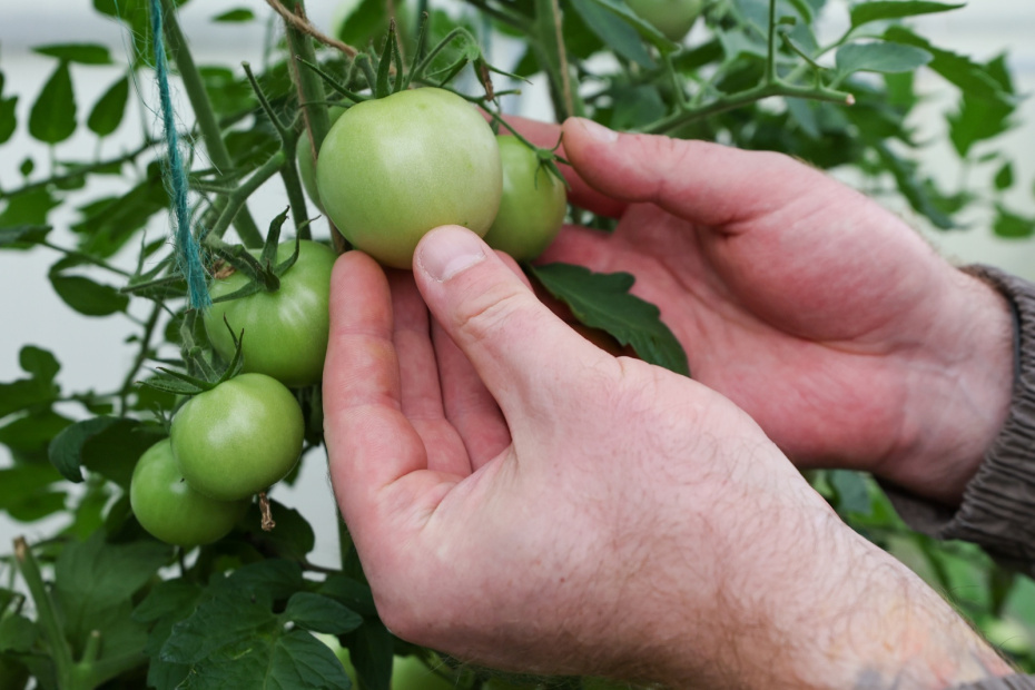    Алексей Белкин/NEWS.ru