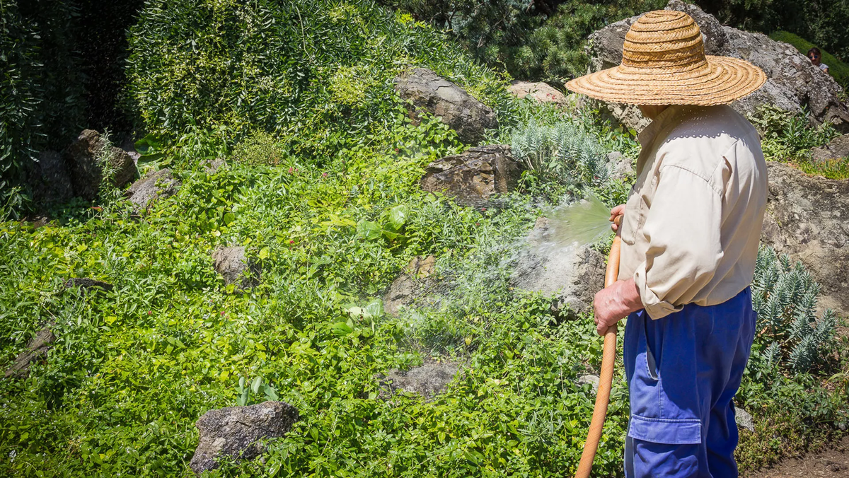 © photo: Sputnik / Levan Avlabreli