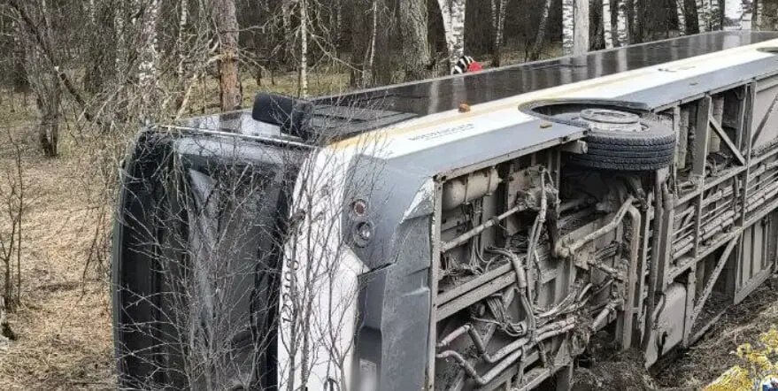    Источник: vm.ru/ Полина Потапова