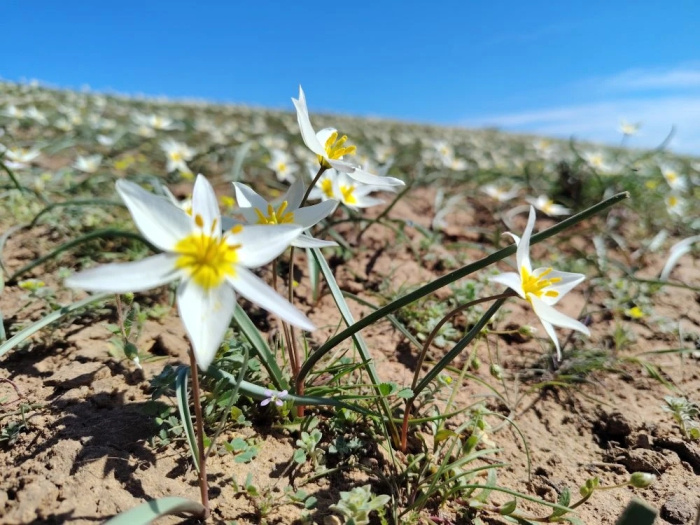    Наталья Харина/ИД «Гудок»