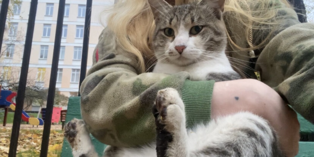 Мой первый друг в Москве. 10 лет назад кот Василий ушел из дома и 7 лет искал счастья. Что с ним сейчас?