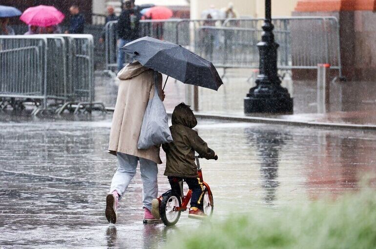   Ярослав Чингаев /Агентство «Москва»