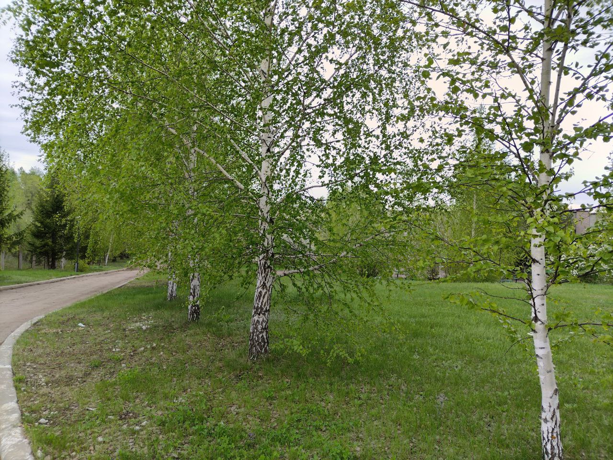 Фото автора.