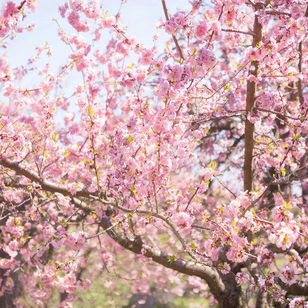    Картинка сгенерирована ИИ Владимир Прошкин