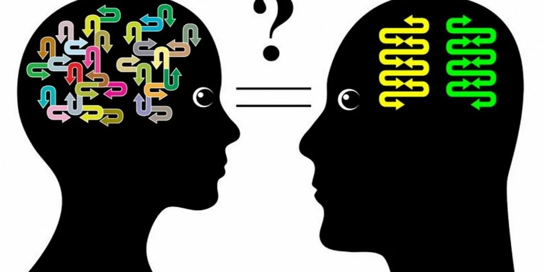 Сражение в зоне комфорта: почему мужской мозг — это эскимо на палочке, а женский — схема метро Токио.