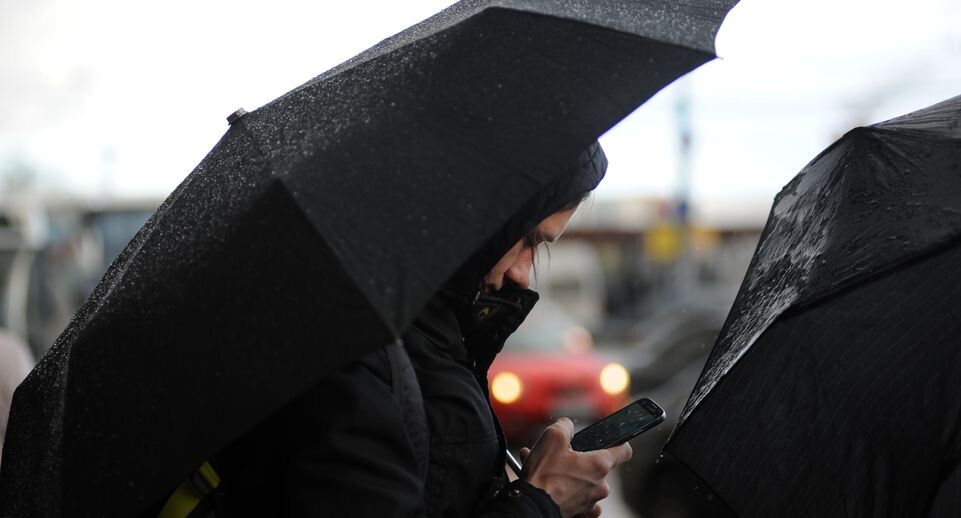    Медиасток.рф