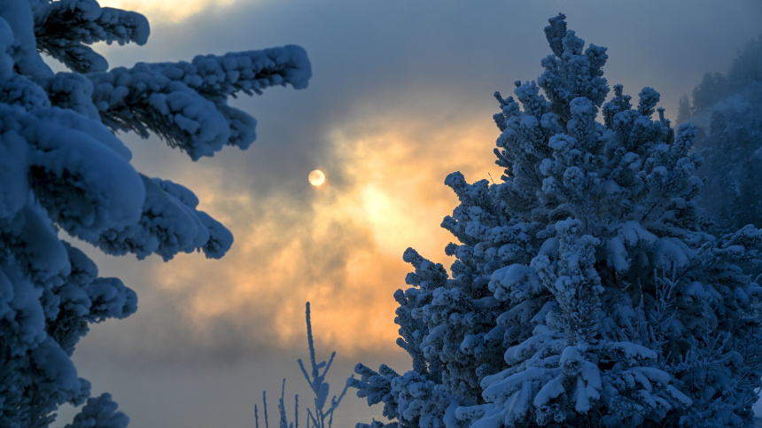    Фото: © РИА Новости/Илья Наймушин