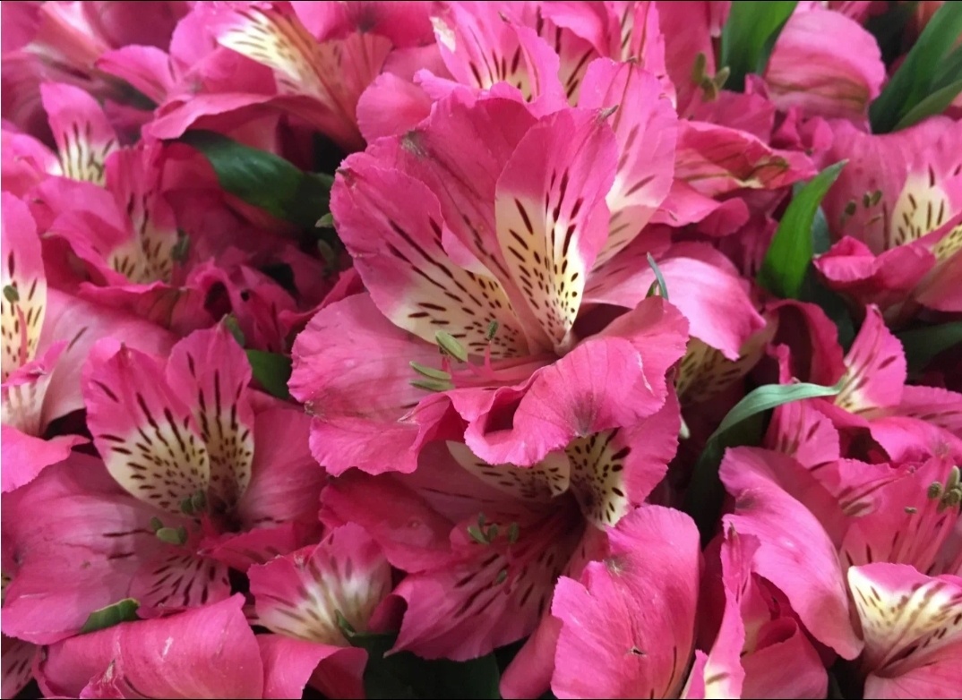 Из открытых источников