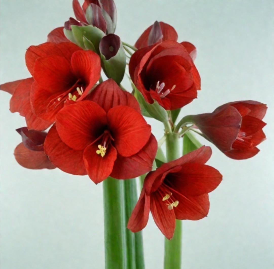 Из открытых источников