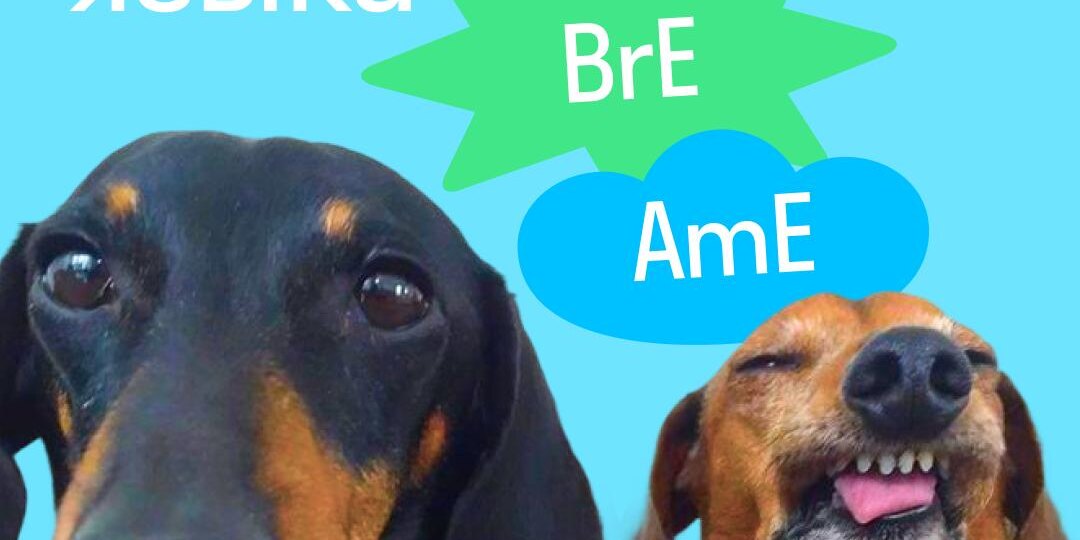 Не хвалите брюки британца