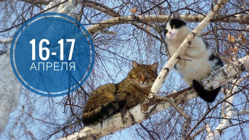 Нумерологический прогноз на 16 и 17 апреля 2026: от оптимизма к стабильности