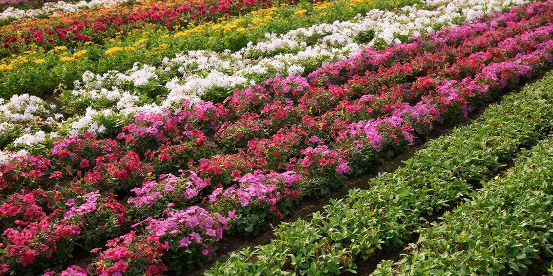 ПРОГНОЗ НА СРЕДУ 15 АПРЕЛЯ