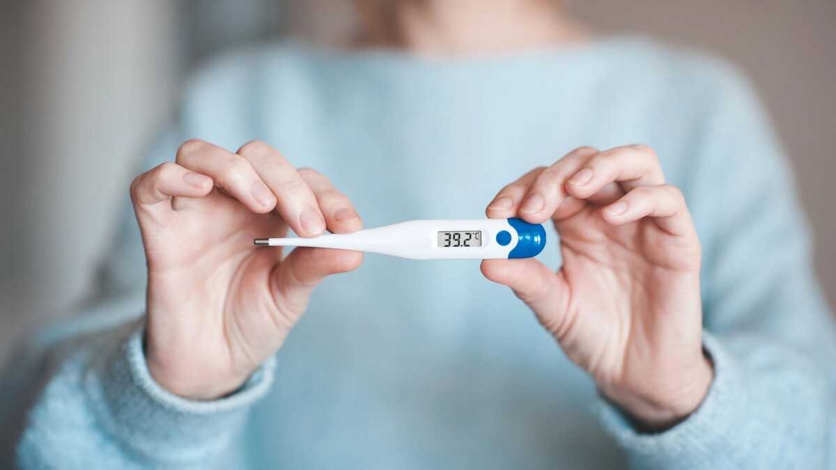    Фото: morrowlight/Shutterstock/Fotodom