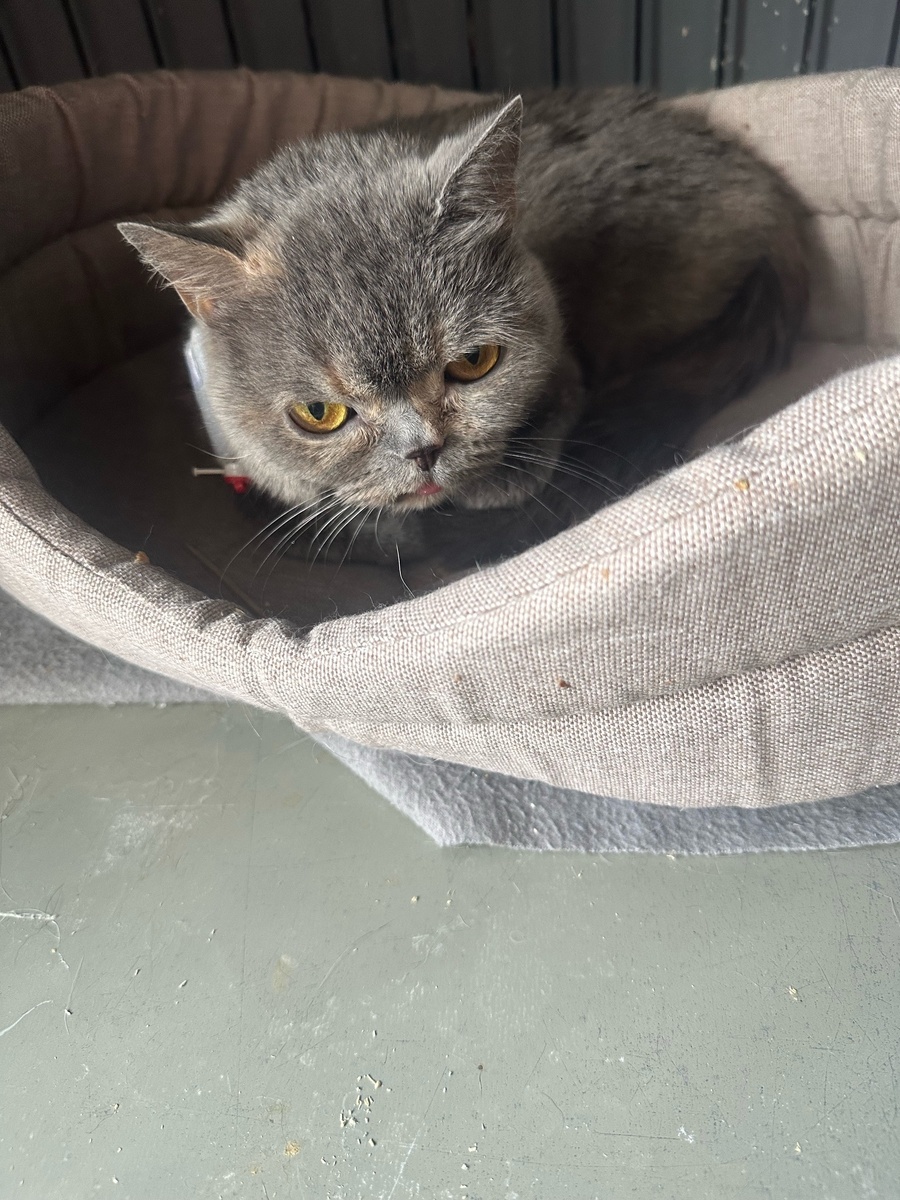 Соня дома у Светланы