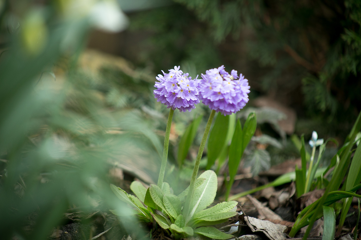 Автор фото Елена Якимова