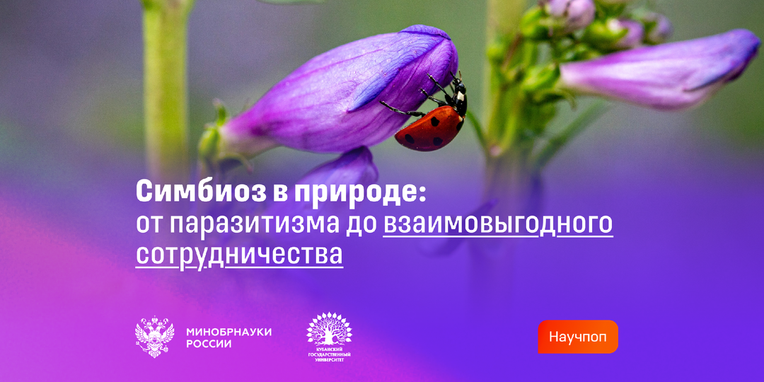 Симбиоз в природе: от паразитизма до взаимовыгодного сотрудничества