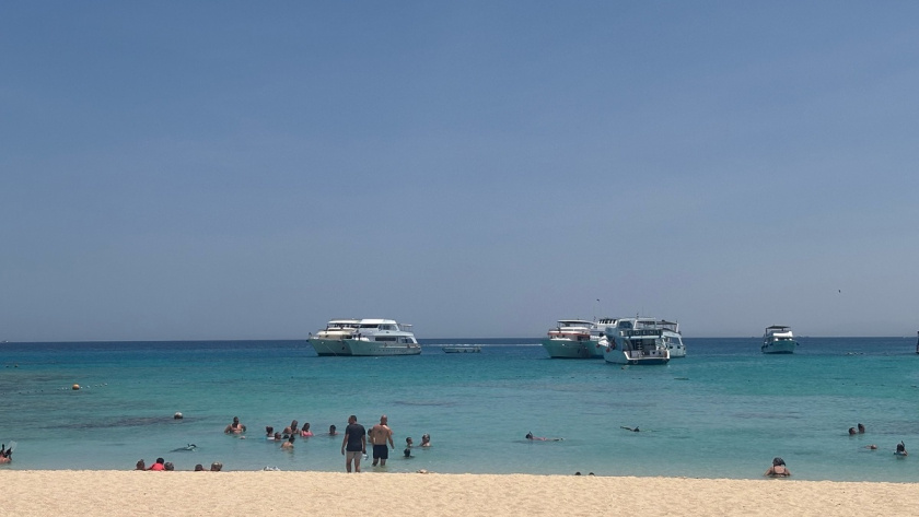    фото из архива редакции