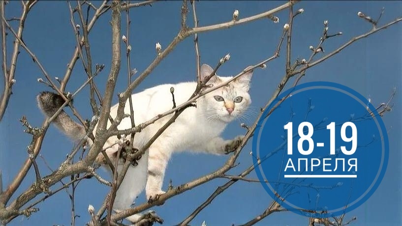 Нумерологический прогноз на 18-19 апреля 2026 года