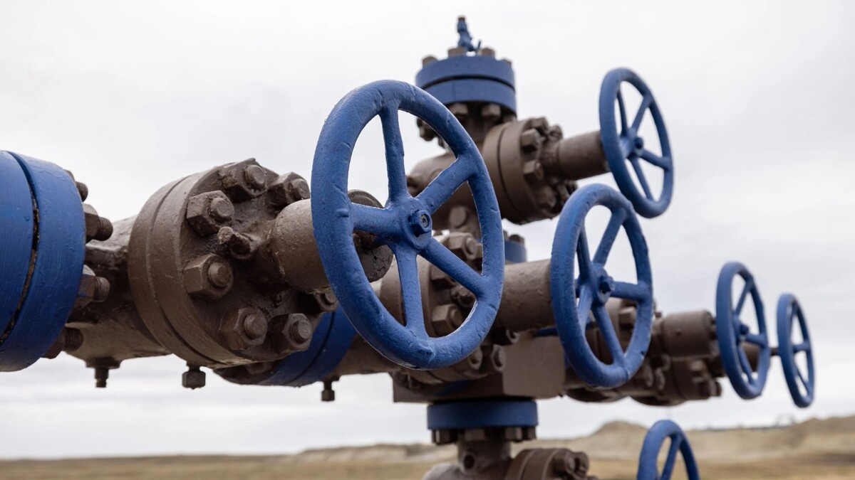    Фото: Сергей Зубков/«Ямал-Медиа»