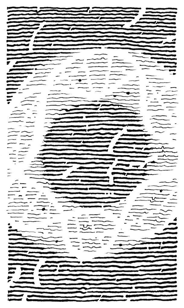 Иллюстрация Петра Перевезенцева