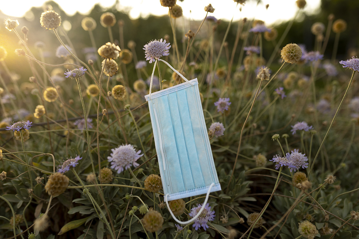    Фото: Freepik / Freepik.com