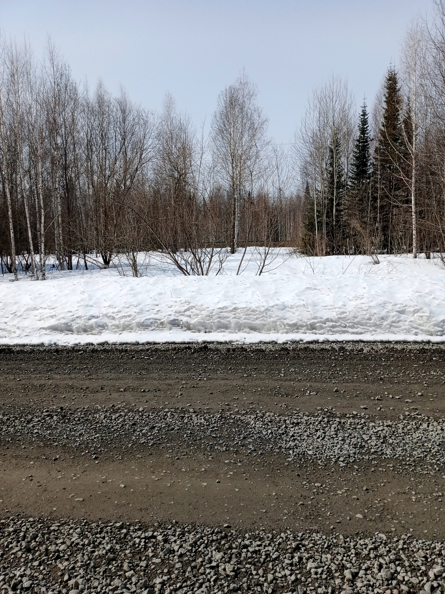 Ориентируемся воон на ту березу. Там знак!