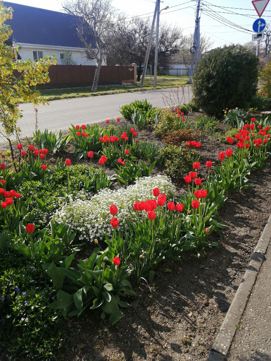 По дороги на рынок