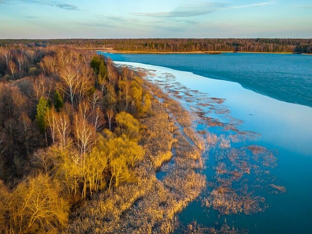    Фото: телеграм-канал "Городское хозяйство Москвы"