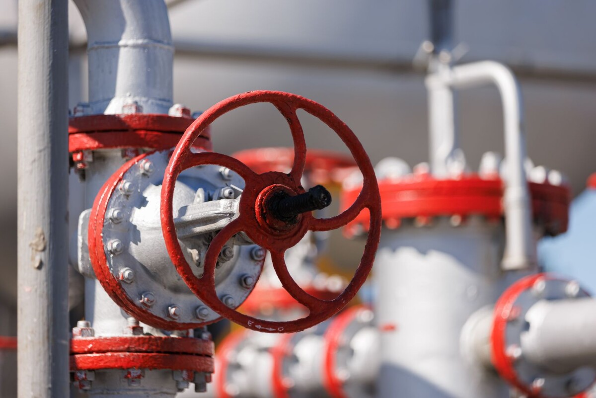     / Источник: © Sergey Elagin/Global Look Press