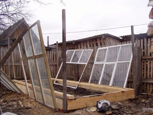 Парник из оконных рам своими руками: пошаговая инструкция для кривых рук