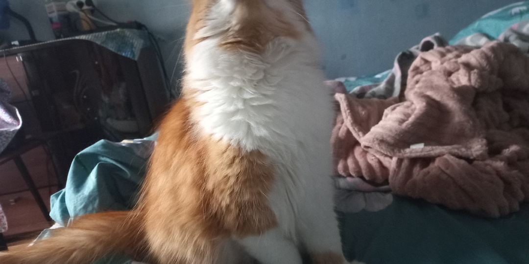 Запахло весной, говорите?