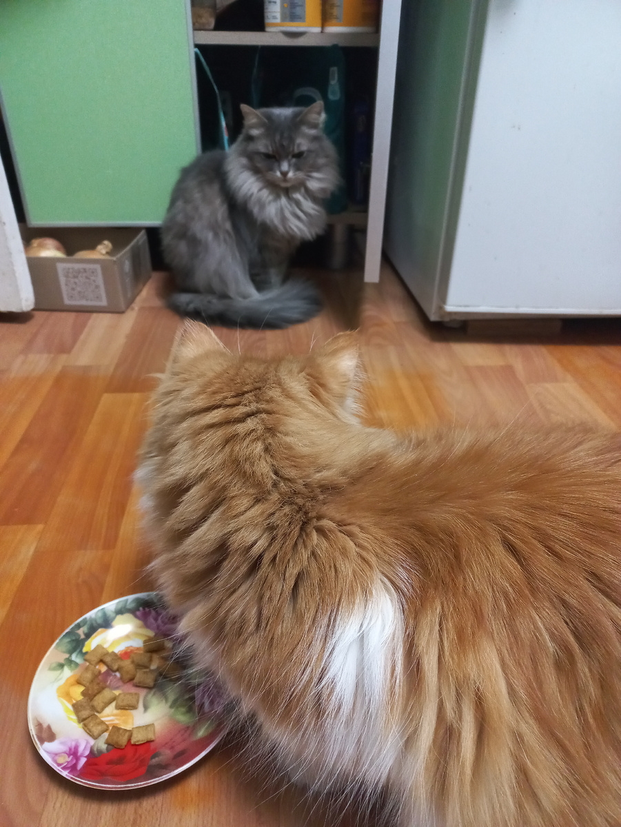 Степан и Леся