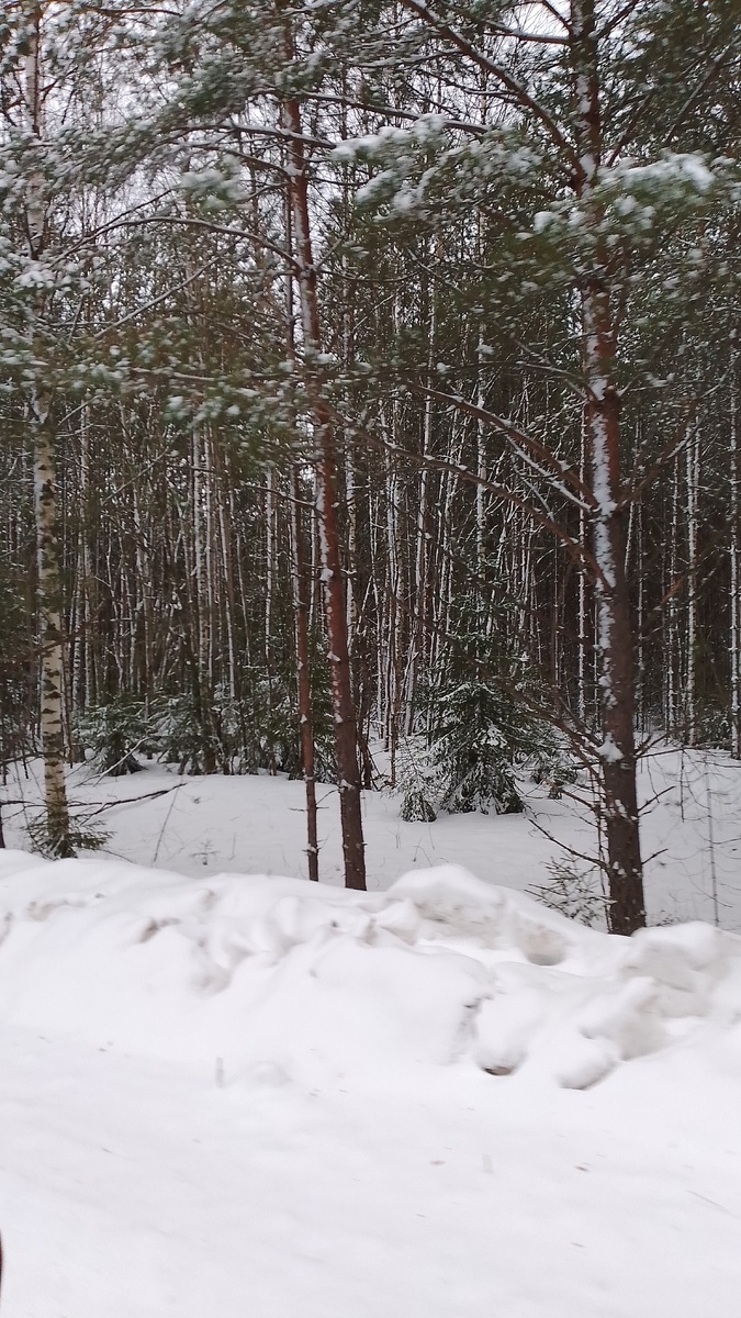 Яранский район. 