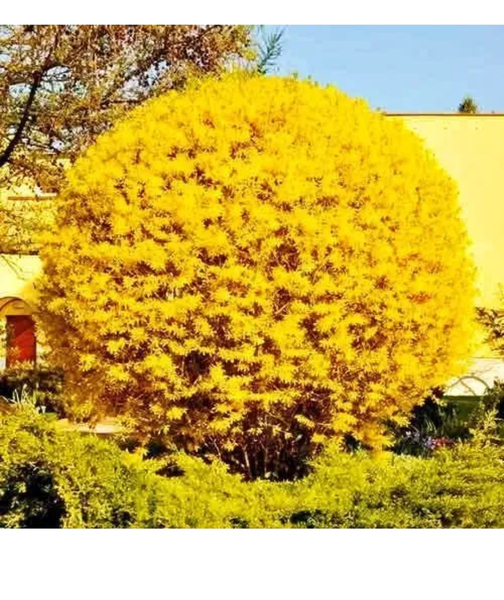 Фото из сети