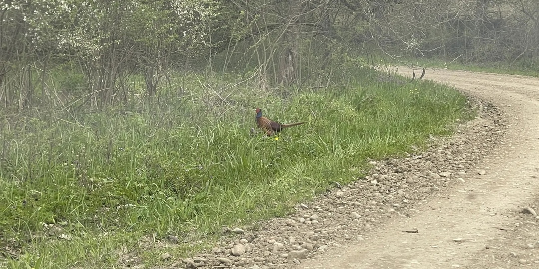 Охотничьи угодья Майкопского района