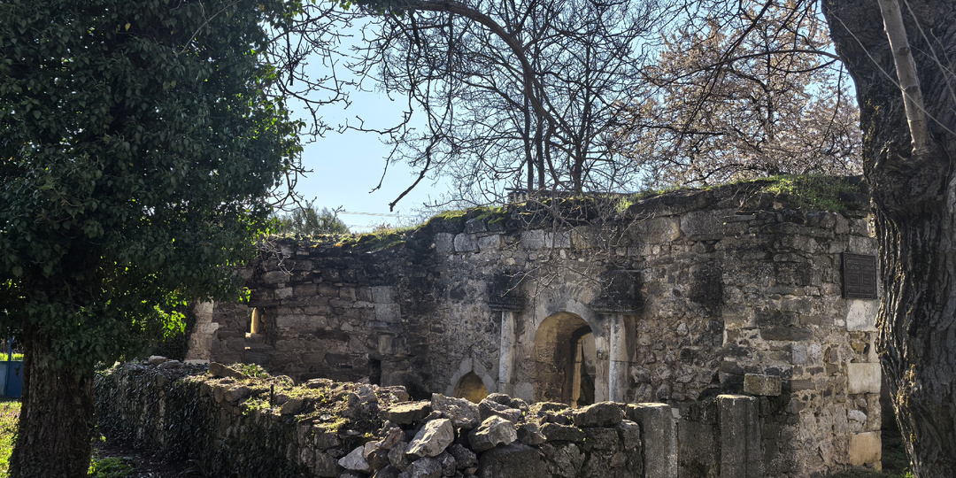 Древний храм, сосны и кактусы