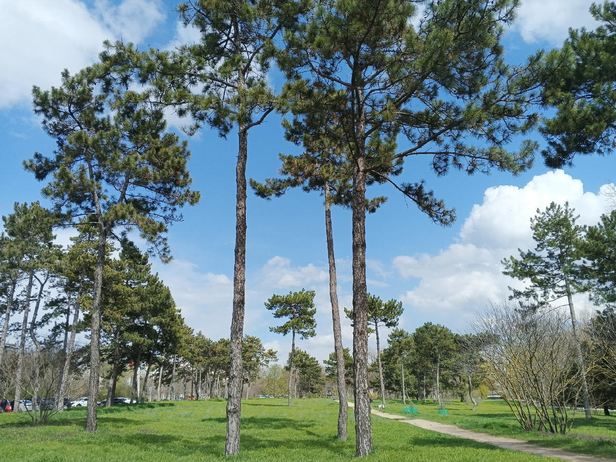 Фото Галины Малышевой.