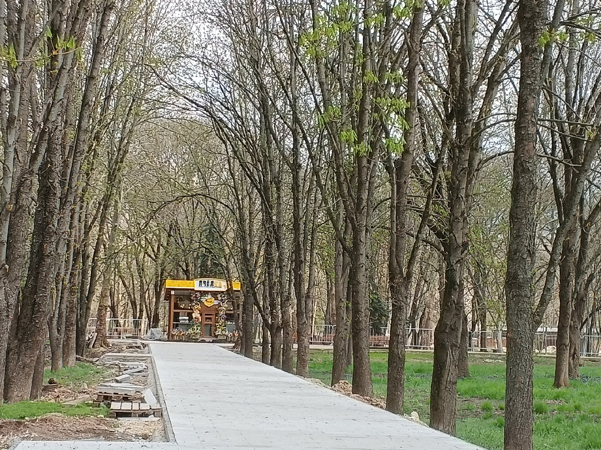 Фото Галины Малышевой.