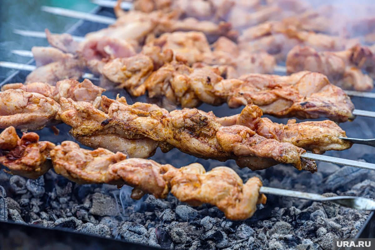     За нарушение правил пожарной безопасности во время жарки шашлыков может грозить тюрьма