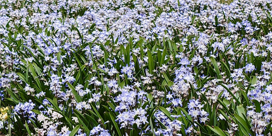 "Зарядье" в середине весны