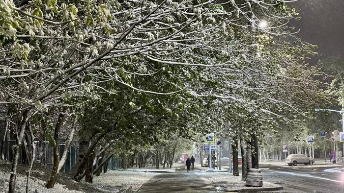 Обложка © Life.ru