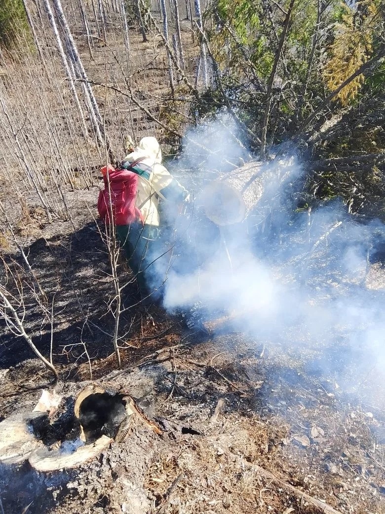    Фото: соцсеть Янины Свидской