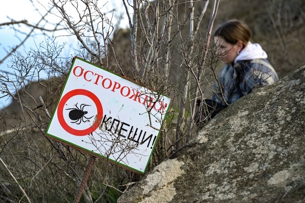    Знак «Осторожно! Клещи!» на горе Аю-Даг (Медведь-гора) в Крыму. Фото: РИА Новости/ Константин Михальчевский