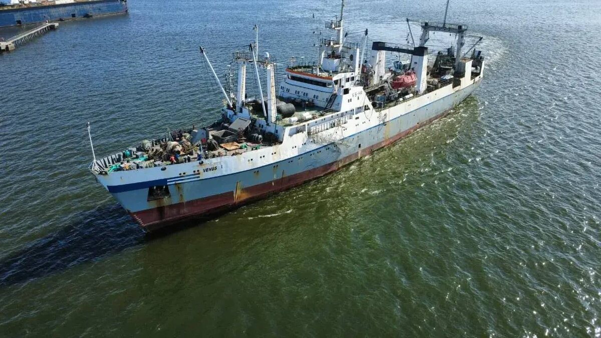     / Фото из личного архива