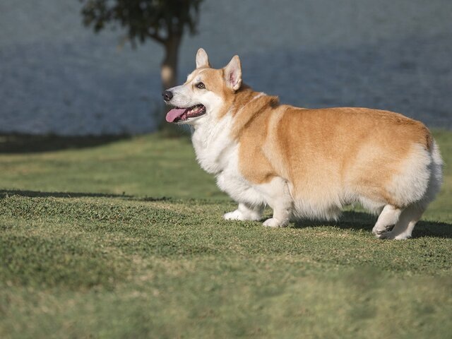    Фото: 123RF.com/mumemories